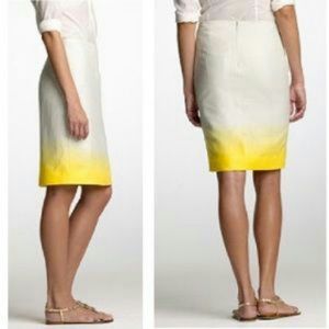 | J Crew | Skirt